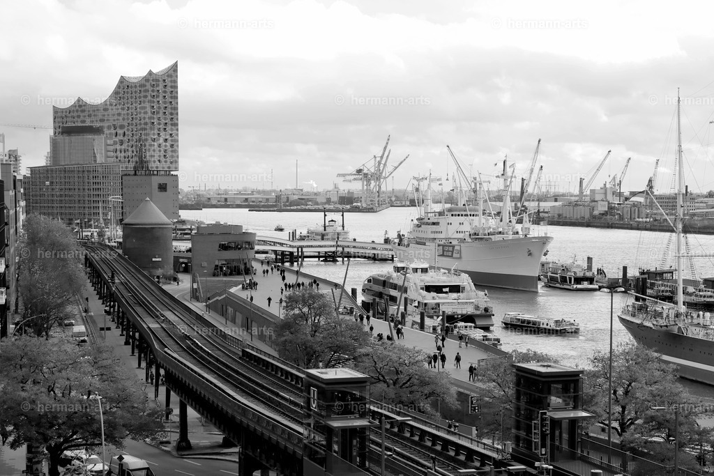 Hamurg_Arts-040 | Photo Foto Kunst Art schwarzweiss Bilder Rheine Münster Berlin Blumen 