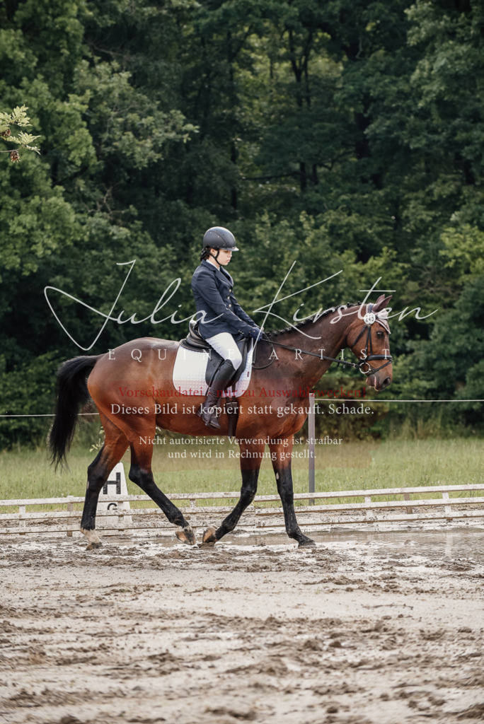 DSC_8576 | Pferde- und Turnierfotografie in Westsachsen. Pferdeportraits, Auftragszeichnungen und intuitive Kunst.