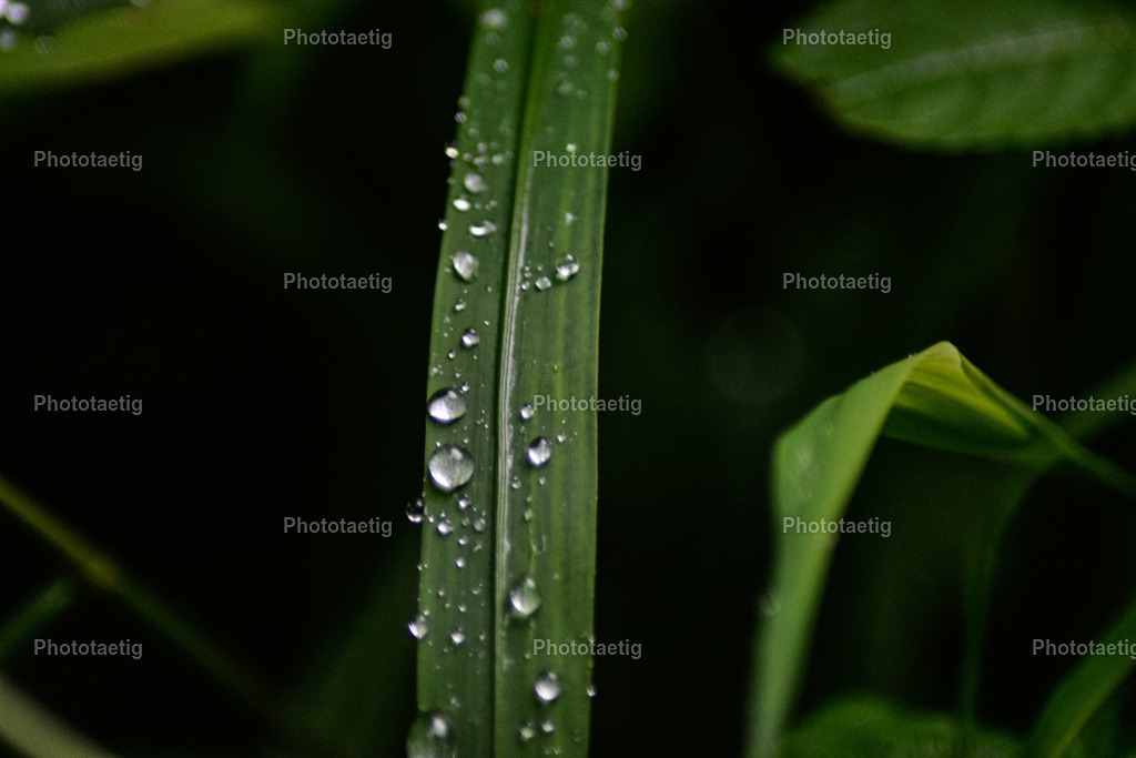 IMG_3312 | phototaetig