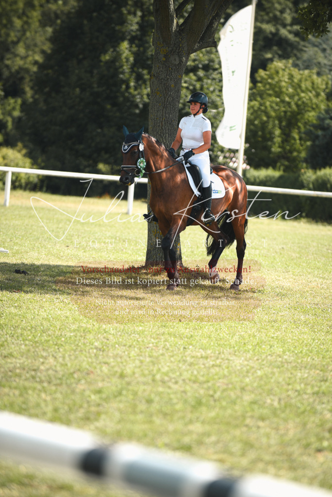 DSC_6858 | Pferde- und Turnierfotografie in Westsachsen. Pferdeportraits, Auftragszeichnungen und intuitive Kunst.