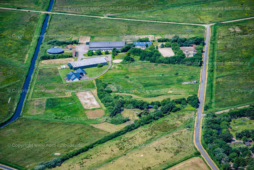 Sylt_Westerland_Pferdebetrieb_Am_Wiesengrund_ELS_0205210625 | SYLT 21.06.2025 Pferdehof und Grasflächen- Strukturen einer Wiesen- Weide mit Pferde - Herde in Sylt im Bundesland Schleswig-Holstein, Deutschland. // Horse farm and grassy areas - structures of a meadow pasture with a herd of horses in Sylt in the federal state of Schleswig-Holstein, Germany. Foto: Martin Elsen