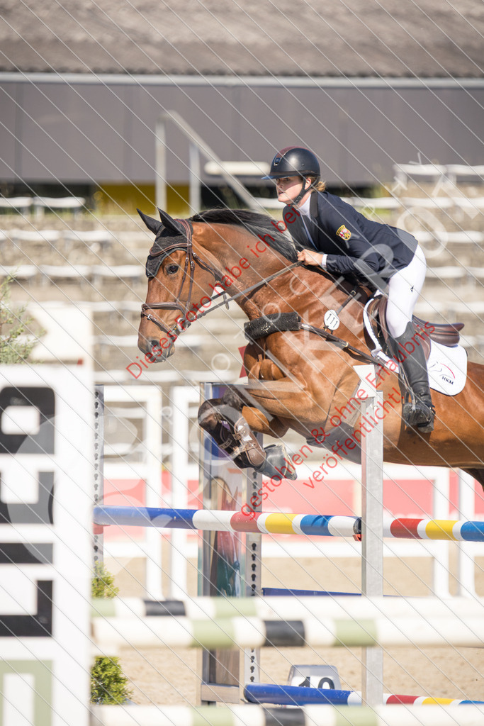 IMG_3960 | Sport-, Event- und Tierfotos in Profiqualität. Einfach auswählen, bestellen und herunterladen. Dein Moment – perfekt festgehalten.