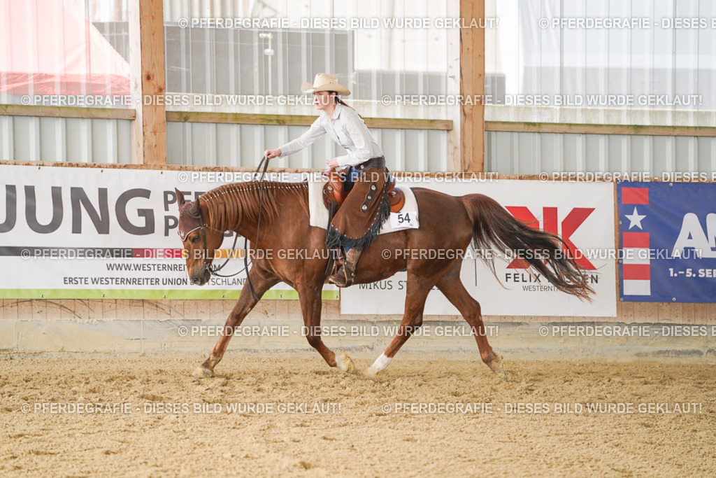 DSC01372 | Pferdegrafie