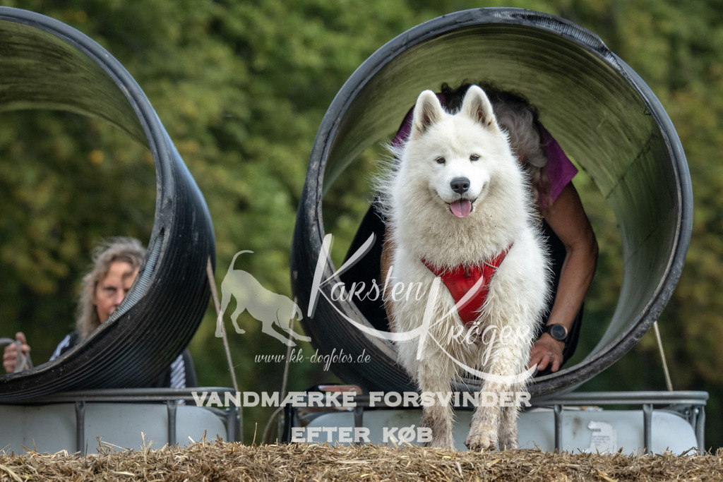 1329_ZZ93324 | kk-dogfotos