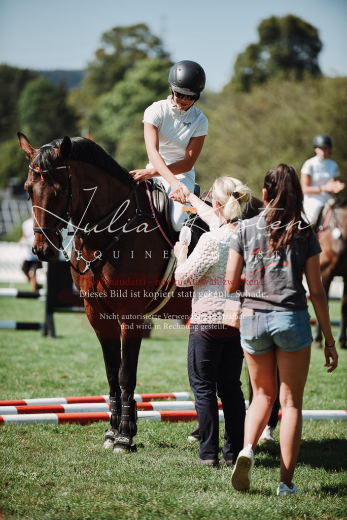 DSC_3339 | Pferde- und Turnierfotografie in Westsachsen. Pferdeportraits, Auftragszeichnungen und intuitive Kunst.