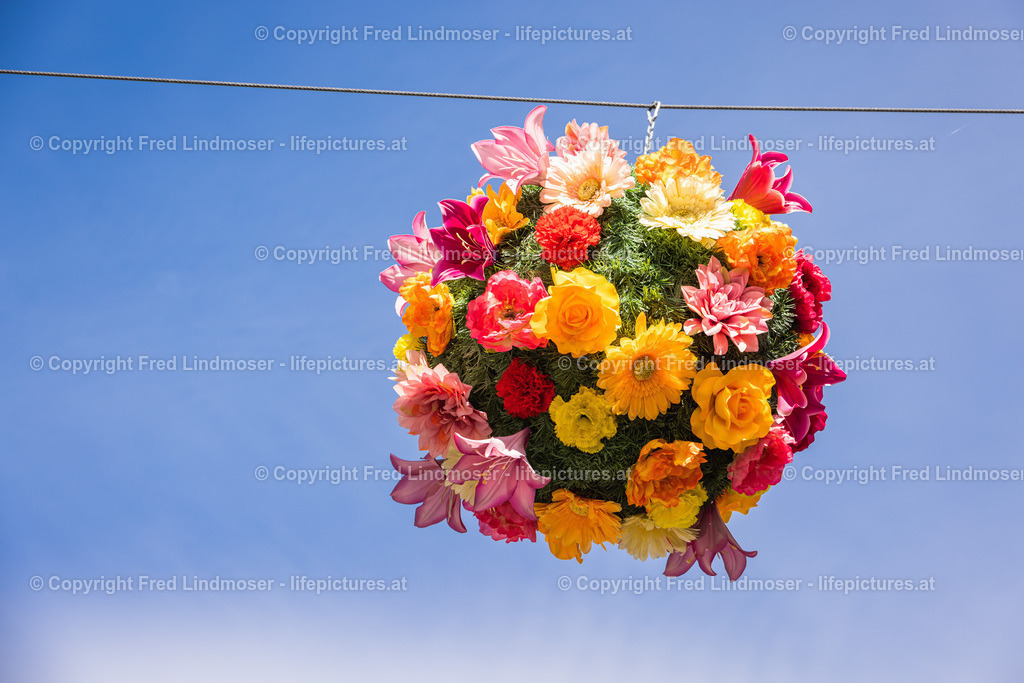 Krems an der Donau-5746 | Fotos und Fotoprodukte - Realisiert mit Pictrs.com