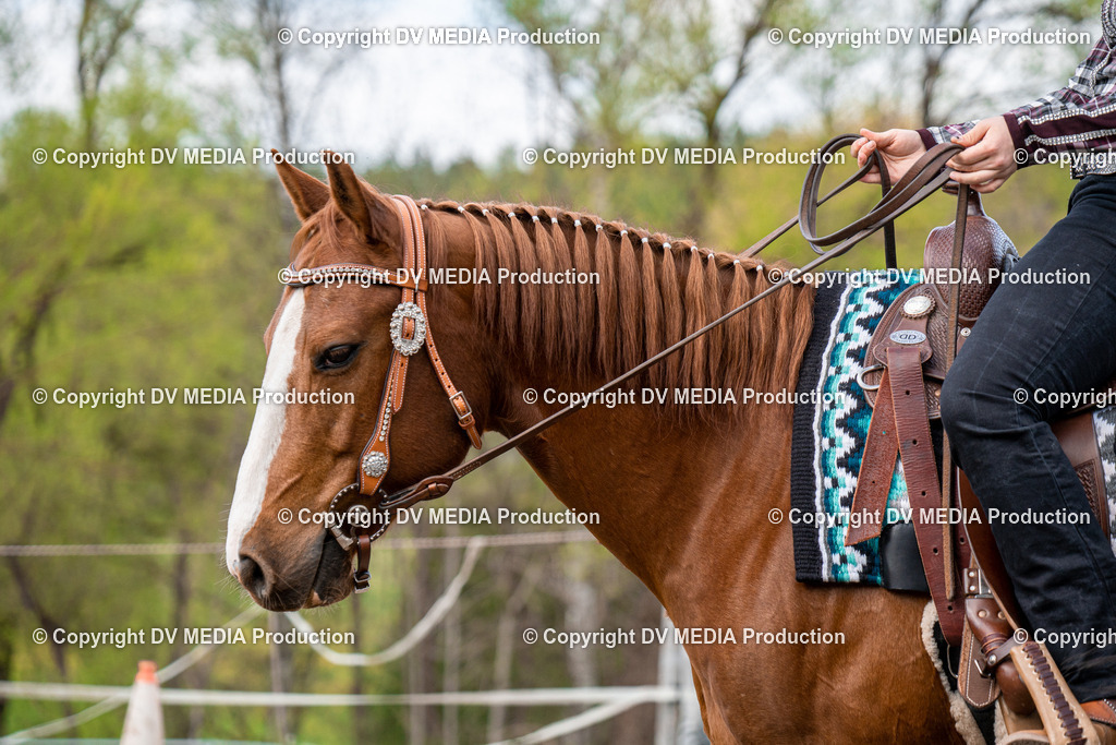 BAL02575 | dv-media-shop - Realisiert mit Pictrs.com