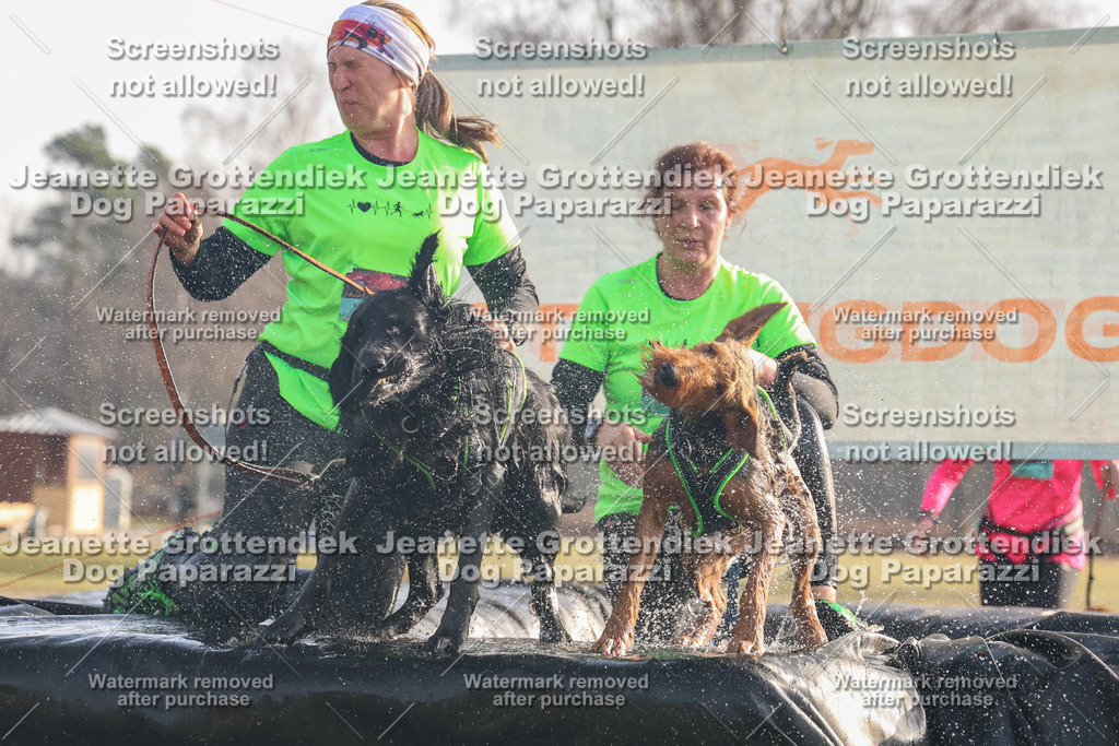 Dog Paparazzi - SD North 0326 900930-270 | Dog Paparazzi Jeanette Grottendiek Fotografie & Videografie - Realisiert mit Pictrs.com