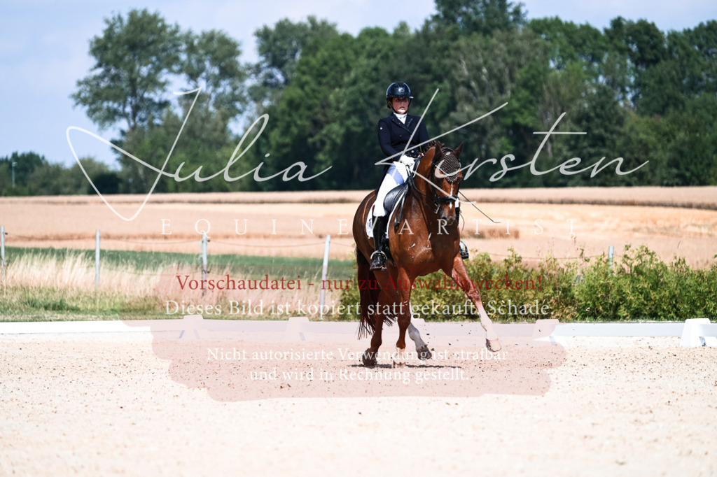 DSC_2847 | Pferde- und Turnierfotografie in Westsachsen. Pferdeportraits, Auftragszeichnungen und intuitive Kunst.
