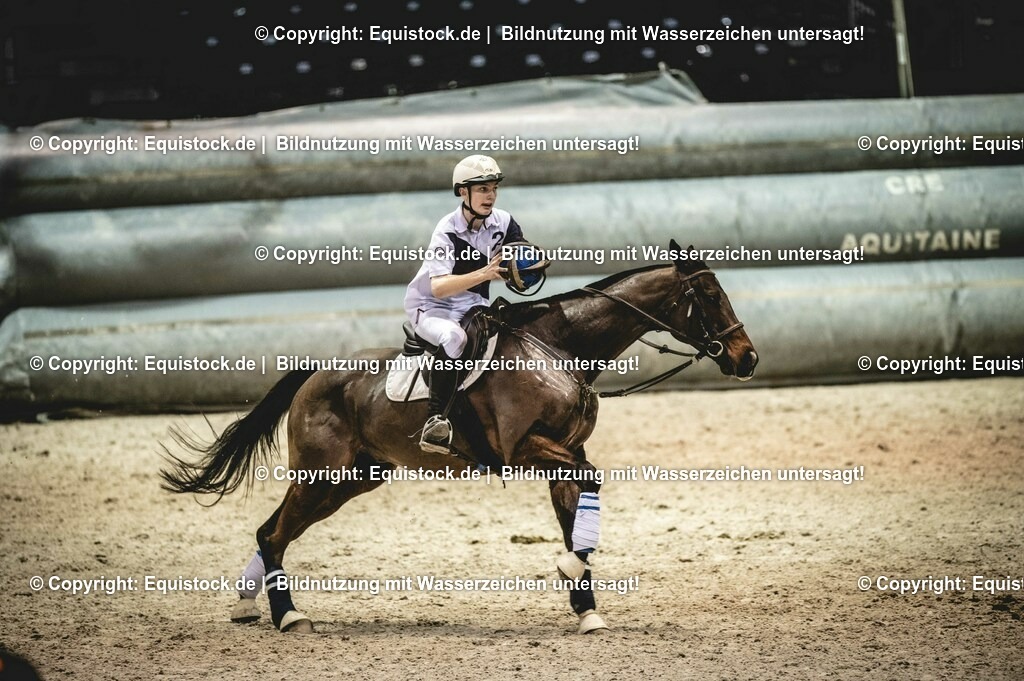 20240202_Horseball_0020 | Foto: Thomas Hartig