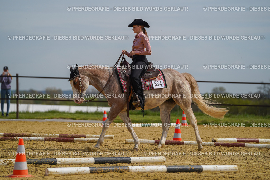 DSC04167 | Pferdegrafie