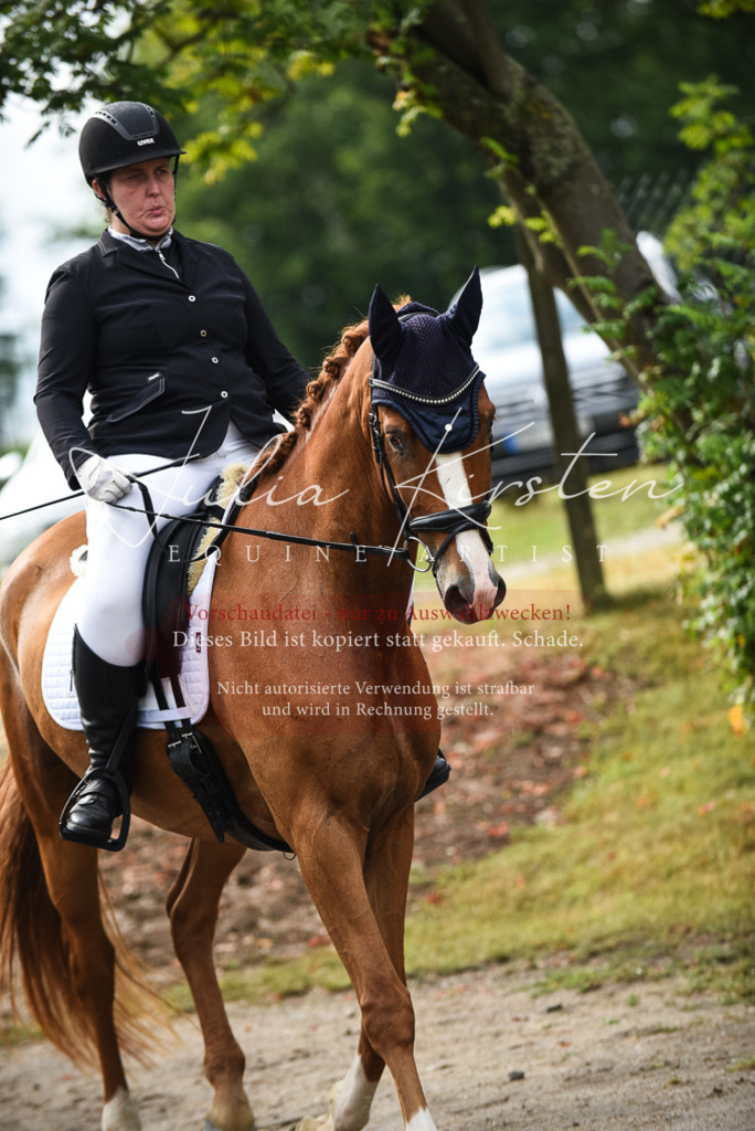DSC_3021 | Pferde- und Turnierfotografie in Westsachsen. Pferdeportraits, Auftragszeichnungen und intuitive Kunst.