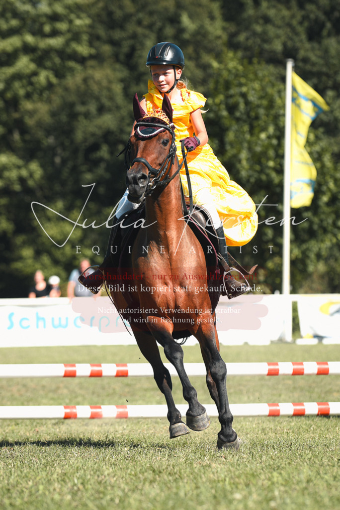 DSC_7524 | Pferde- und Turnierfotografie in Westsachsen. Pferdeportraits, Auftragszeichnungen und intuitive Kunst.