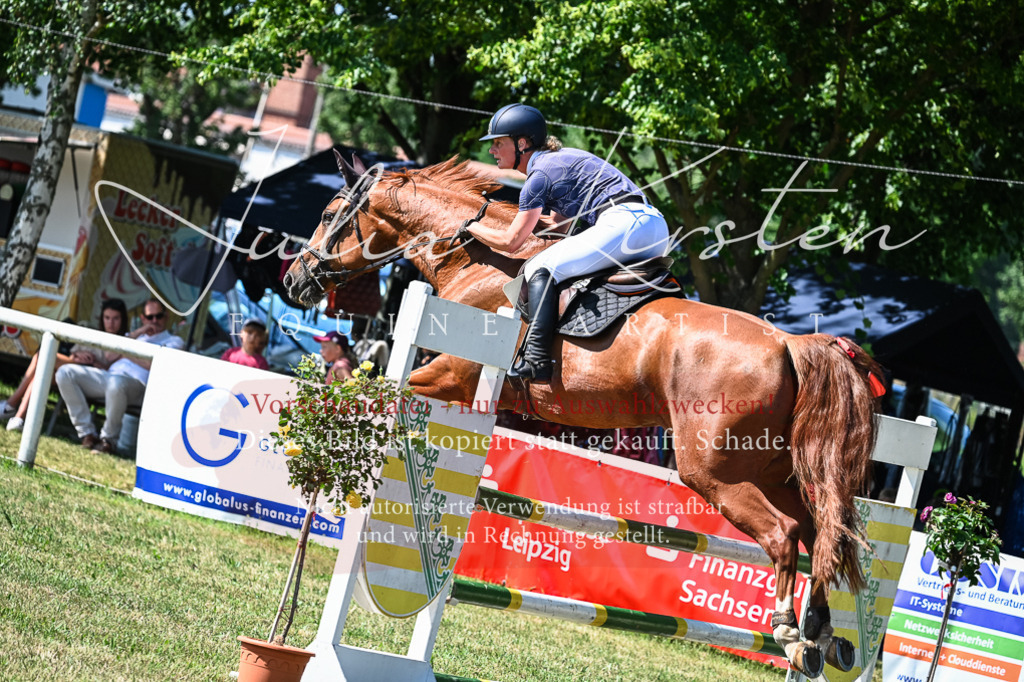 DSC_1575 | Pferde- und Turnierfotografie in Westsachsen. Pferdeportraits, Auftragszeichnungen und intuitive Kunst.