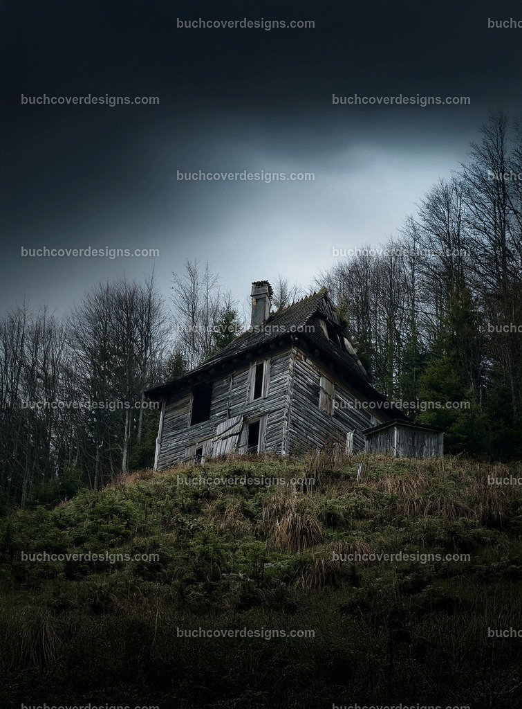 Geisterhaus auf einen hugel | Entdecken Sie kreative Buch Cover Designs für Self-Publishing-Autoren und Verlage! Unsere maßgeschneiderten Designs ziehen Leser an und bringen Ihre Geschichten visuell zum Leben. Lassen Sie uns Ihr perfektes Cover gestalten!