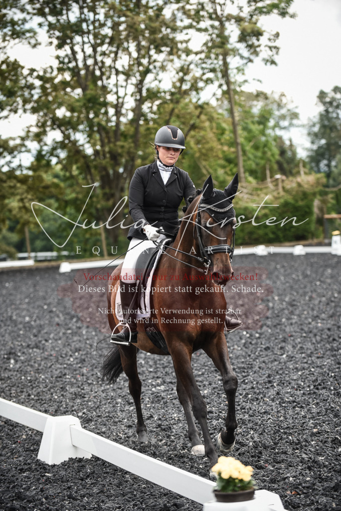 DSC_4905 | Pferde- und Turnierfotografie in Westsachsen. Pferdeportraits, Auftragszeichnungen und intuitive Kunst.