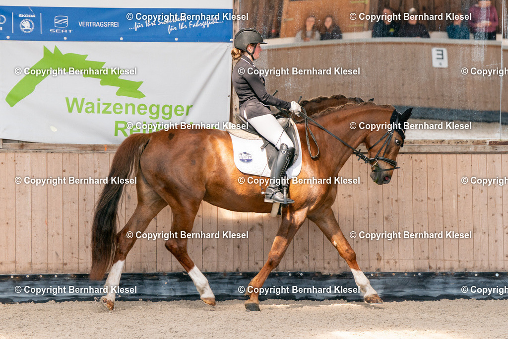 2A901719 | foto-team-bernhard - Realisiert mit Pictrs.com
