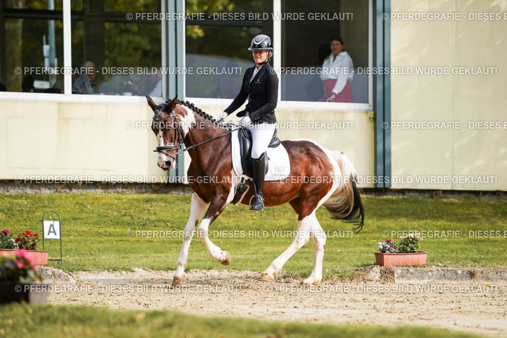 DSC04279 | Pferdegrafie