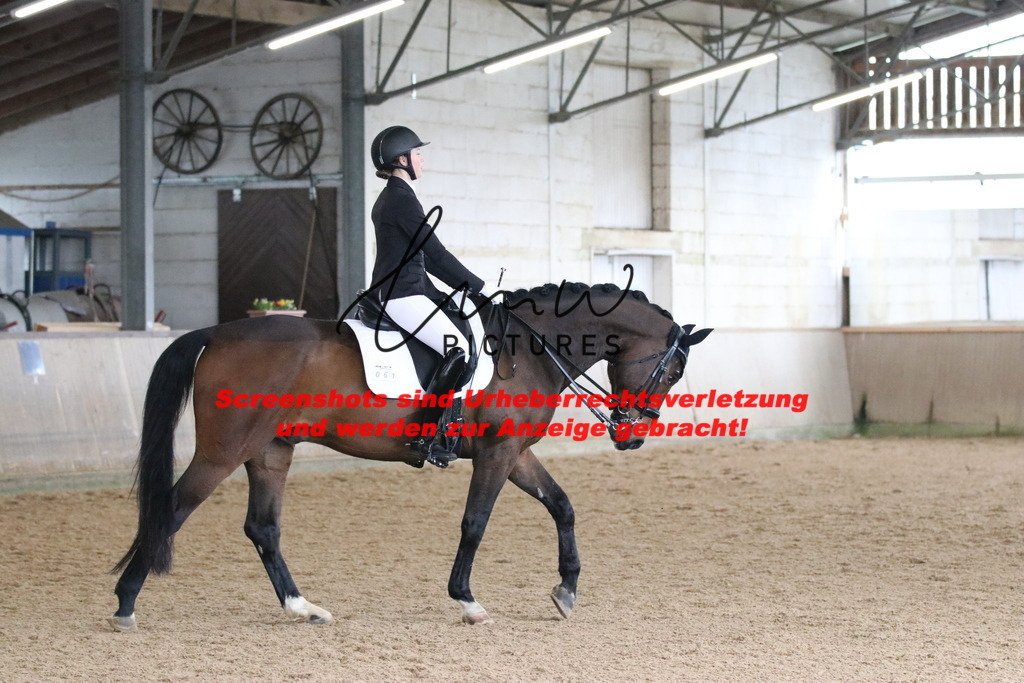 IMG_9950 | lmwpictures - Realisiert mit Pictrs.com