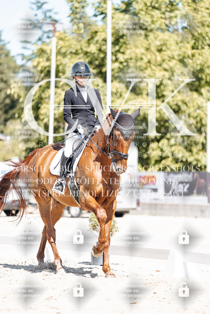 CK909544 | Turnierfotografie Pferdefotografie Trier Rheinland-Pfalz Pferdesport Reitsport Tierfotografie Sportfotografie Pferdevideo Pferdevideografie Equestrianvideography equestrianphotography  - Realisiert mit Pictrs.com
