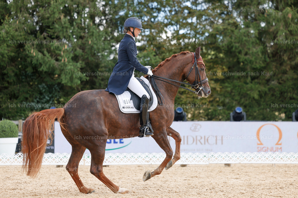 09_2-094-DRESSUR  S_  -StoibPH-5866 | working equitationturnier fotograf videograf stoibphotography marixx film working equitation deutschland reitsport turnierfotografie eventfotografie equestrian events