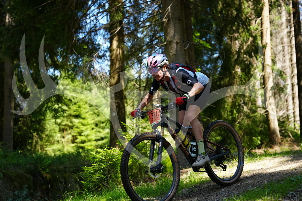 FC101839 | Fotogalerie der Treibjagd im Dunkelwald - Dein MTB Etappenrennen im Erzgebirge - Realisiert mit Pictrs.com