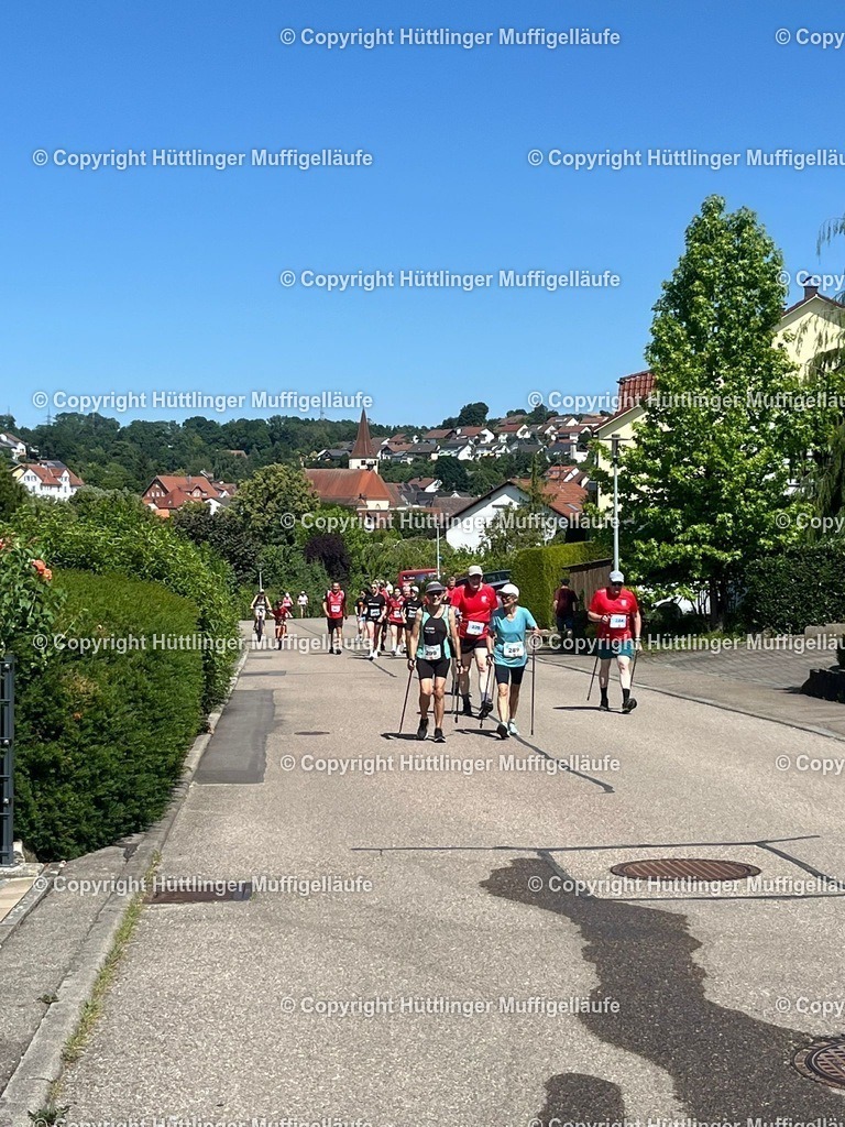 8b369c96-3b0f-4b78-8e2f-3f41839844e2 | Hüttlinger Muffigelläufe - Realisiert mit Pictrs.com