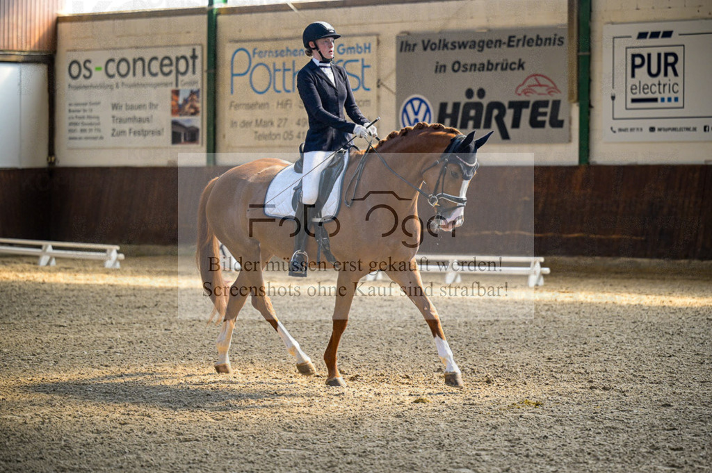Reitturnier Voxtrup | Entdecke hochwertige Reitturnierfotos von Foto Oger. Professionell, emotional und authentisch – jetzt Lieblingsmomente im Shop bestellen.Deutschlandweite Turnierfotografie. - Realisiert mit Pictrs.com