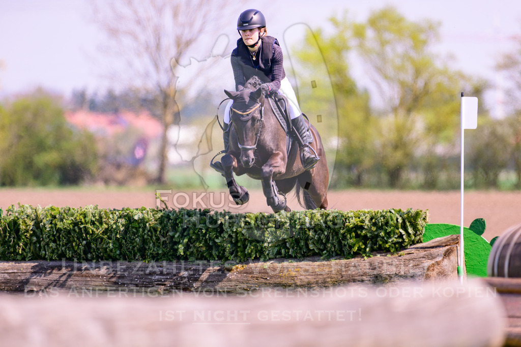 18042026-Gernlinden-01-1-0524 | Fokus Hufschlag Fotografie - Realisiert mit Pictrs.com