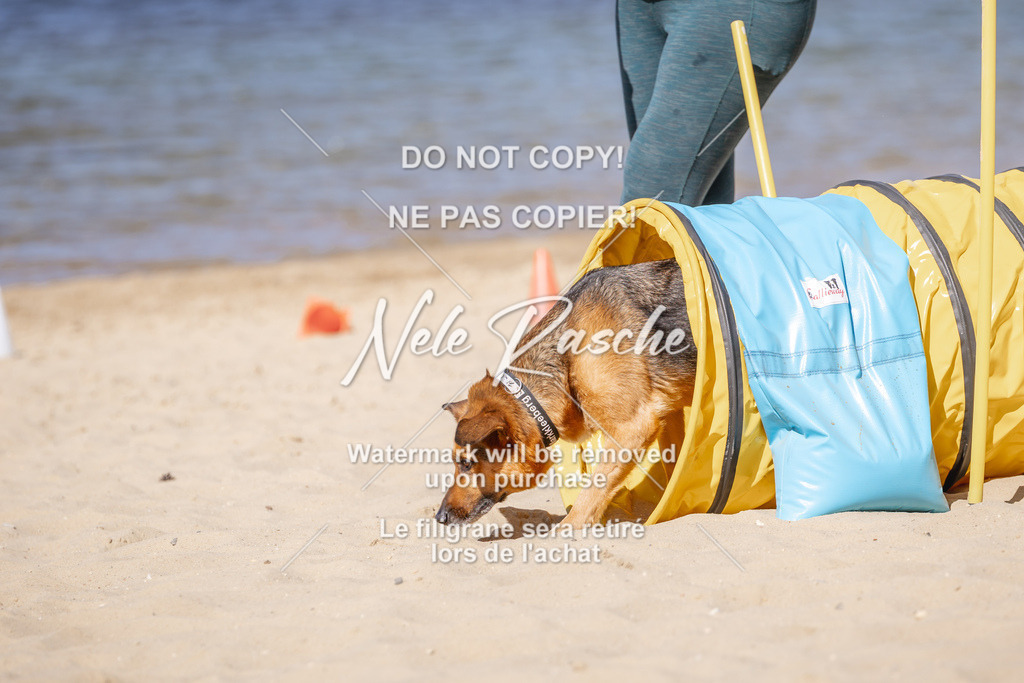 NR__1085 | nelerasche