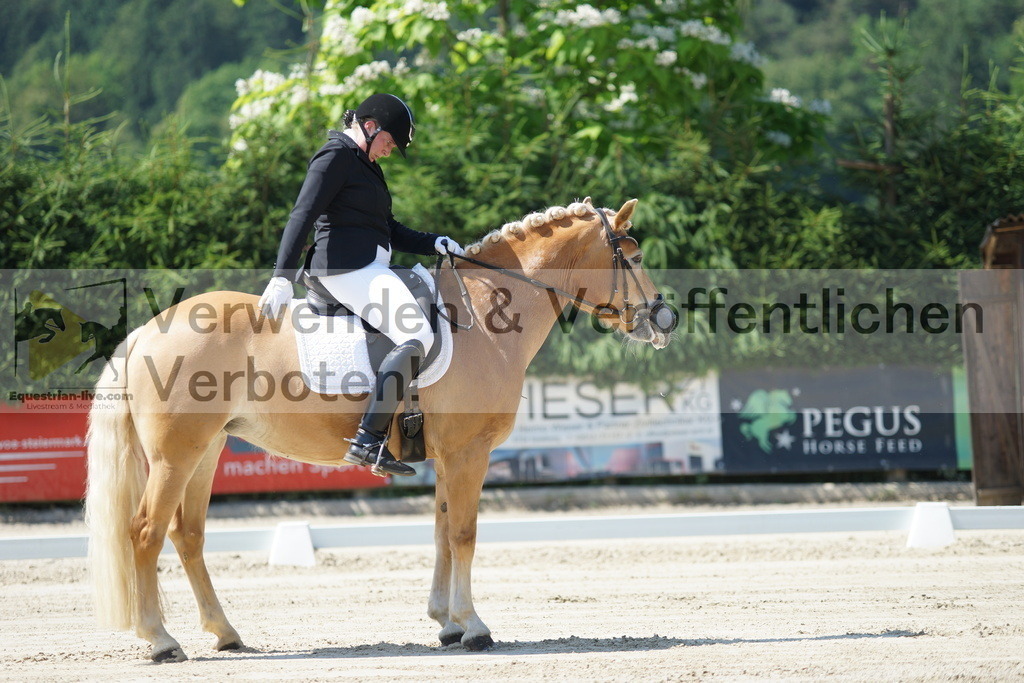 DSC02237 | equestrian-live-com