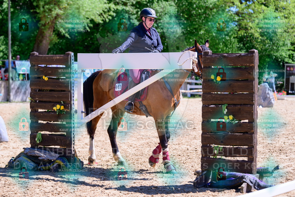01052026-Giesenbach-02-Stiltrail-0405 | Fokus Hufschlag Fotografie - Realisiert mit Pictrs.com