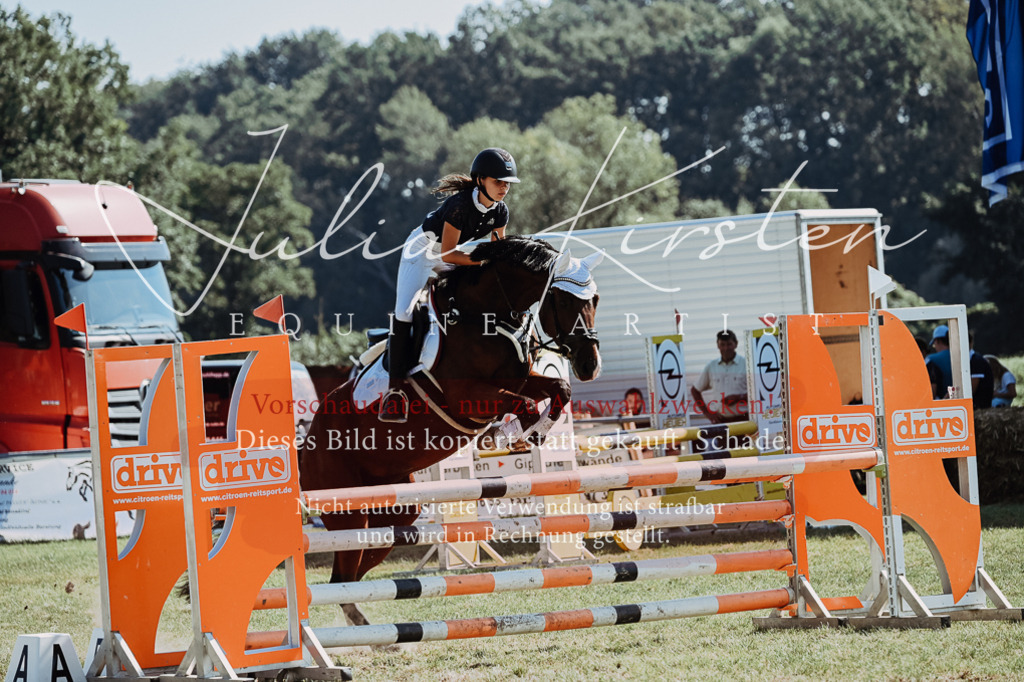 DSC_5852 | Pferde- und Turnierfotografie in Westsachsen. Pferdeportraits, Auftragszeichnungen und intuitive Kunst.