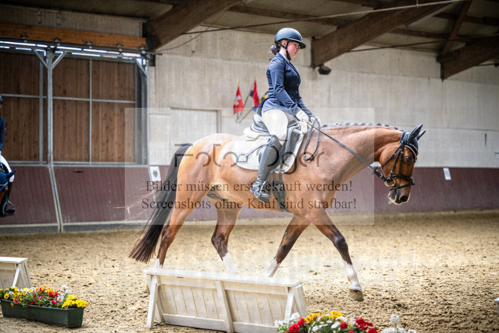 DOS_2335 | Reitturnier Lüdinghausen - Realisiert mit Pictrs.com