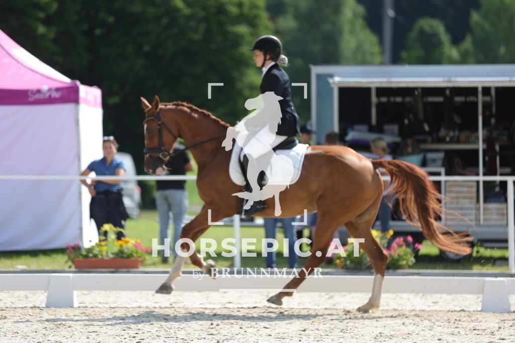 0P6A9011 | Willkommen bei Brunnmayr - Design & Fotografie – Ihrem Spezialisten für Reitturniere und Pferdeveranstaltungen in Oberösterreich, Salzburg und Bayern! Seit über 17 Jahren sind wir leidenschaftlich dabei.
