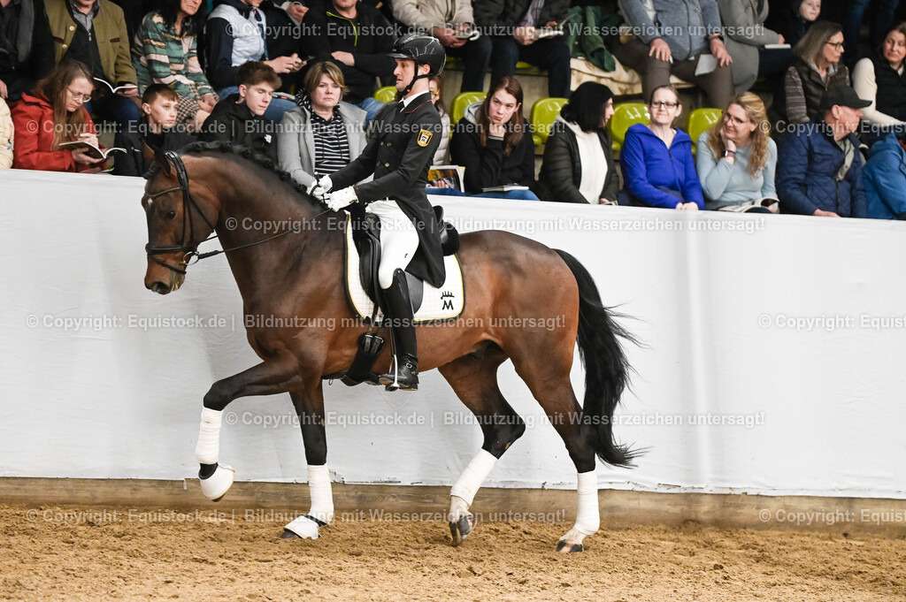 20260307_Hengstvorstellung-Marbach_0340 | equistock