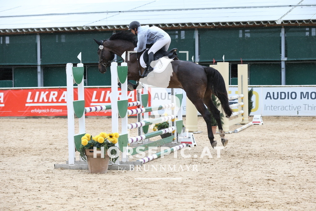 DL2Q6099 | Willkommen bei Brunnmayr - Design & Fotografie – Ihrem Spezialisten für Reitturniere und Pferdeveranstaltungen in Oberösterreich, Salzburg und Bayern! Seit über 17 Jahren sind wir leidenschaftlich dabei.