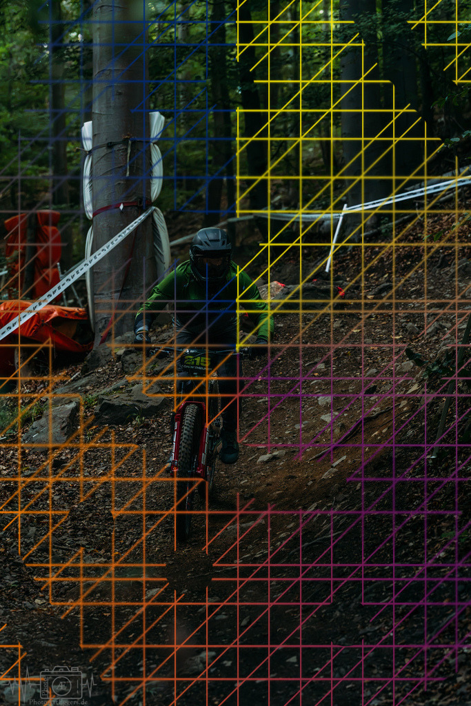 PAE-1321 | Einzigartige Fotokunst für dein Zuhause: Entdecke hochwertige Wandbilder, edle Prints und emotionale Motive von Wildlife, Natur und Landschaften - Realisiert mit Pictrs.com