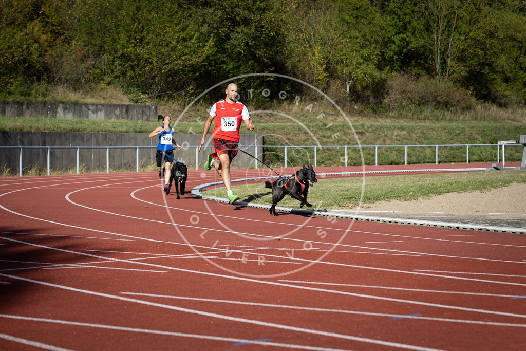 Pfotenfotografie_DV3A9383 | Hundefotografie, Tierfotograf, Pfotenfotografie, Fotoshooting Hund, Hunde Portrait, Hundesport, Hundeportraits, Heideshooting, Hunde, Sportfotograf, Hundefotograf, Turnierhundsport, THS,  - Realisiert mit Pictrs.com