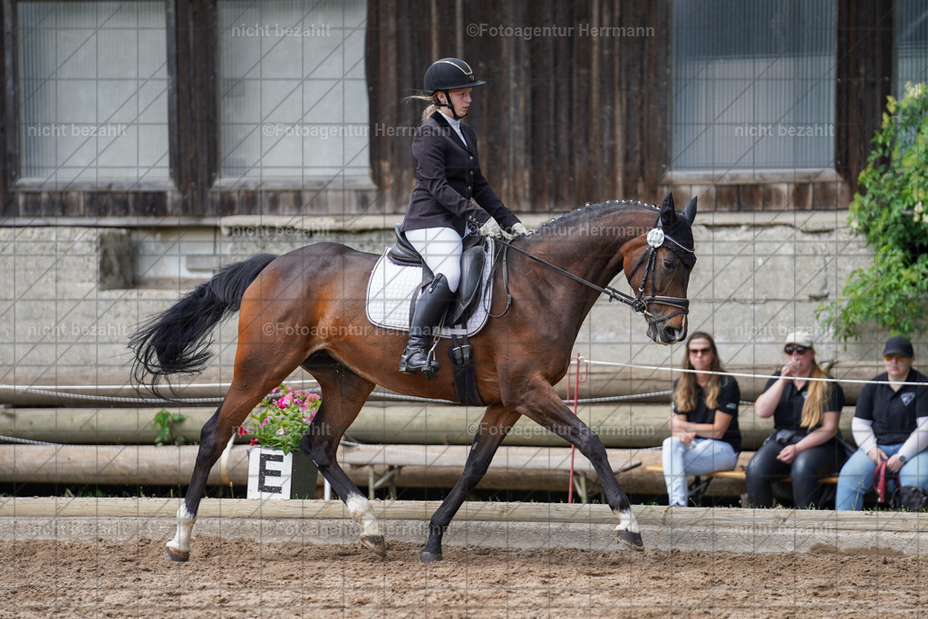 20240519-FAH05091 | Turnierbilder Niederseeon 2024, Vielseitigkeitsdressur, Reitsportbilder aus dem Landkreit Ebersberg, Gut Steinsee, RC Steinsee, Fotoagentur Herrmann