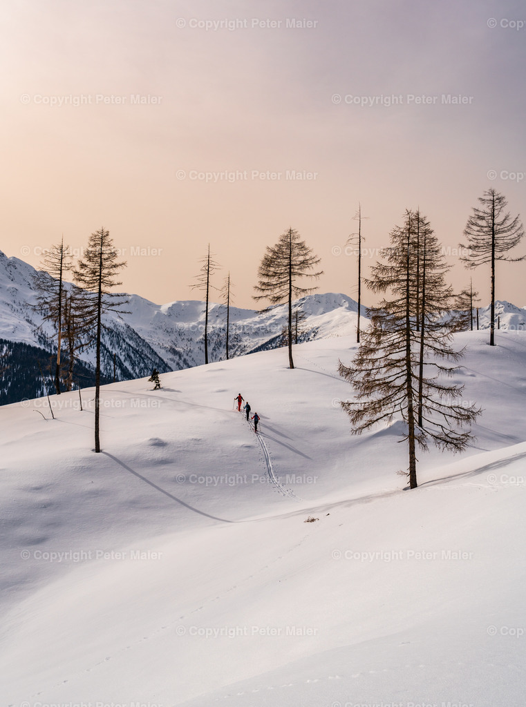 Skitour_Penk-21 | piet_flosse