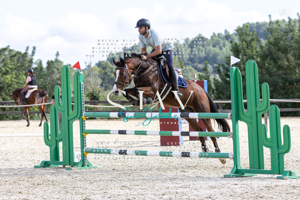 IMG_3481 | s-jay-photography - Realisiert mit Pictrs.com