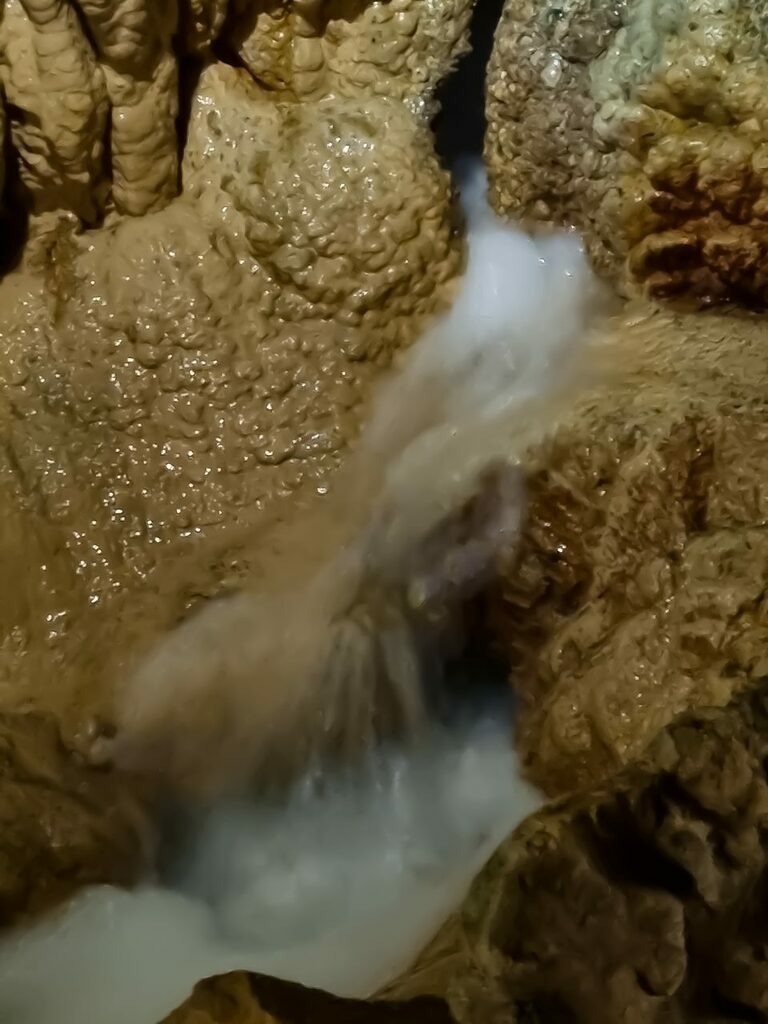 PSX_20210805_224439 | mtkfoto_ - Realisiert mit Pictrs.com