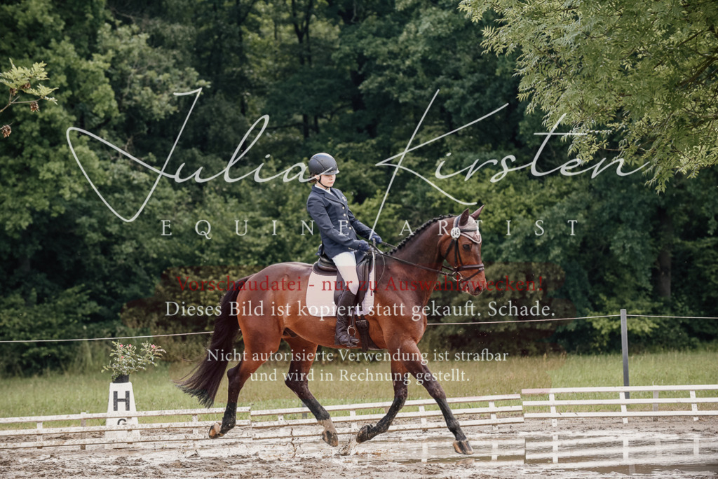 DSC_8658 | Pferde- und Turnierfotografie in Westsachsen. Pferdeportraits, Auftragszeichnungen und intuitive Kunst.