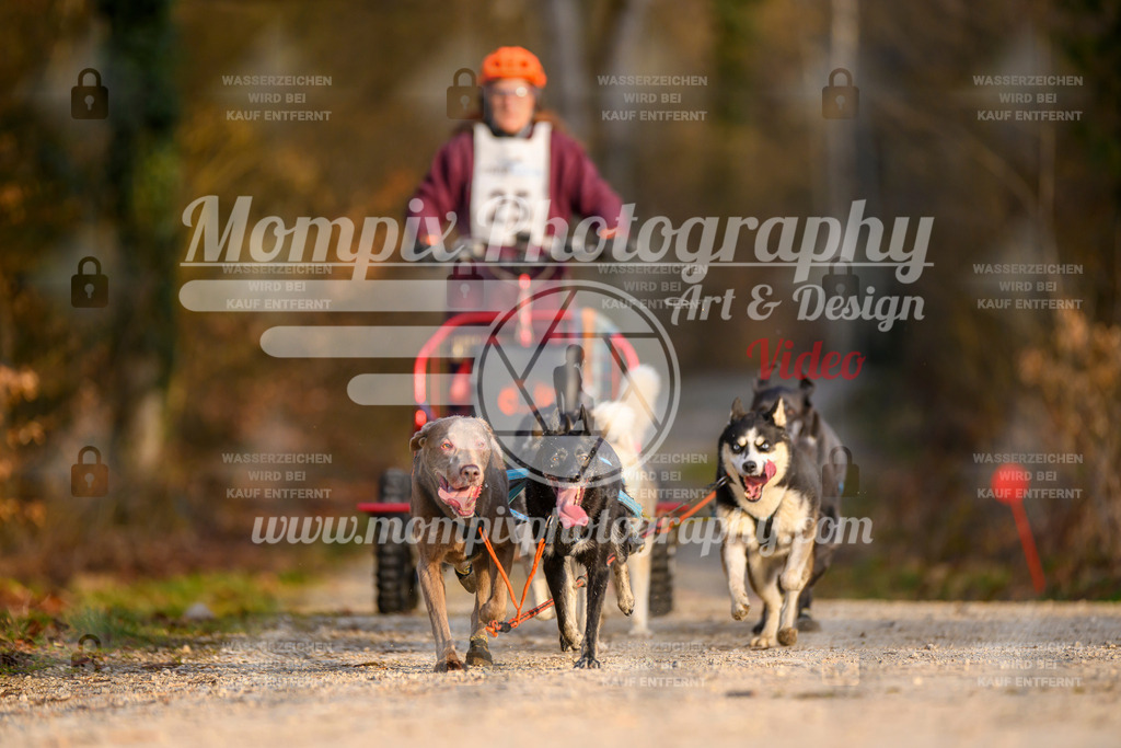 MompixPhotography_6ReiatRennen2026_SO_Kart-18 | PayLife