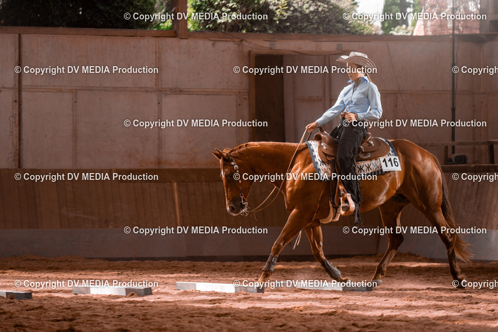 NE100516 | dv-media-shop - Realisiert mit Pictrs.com