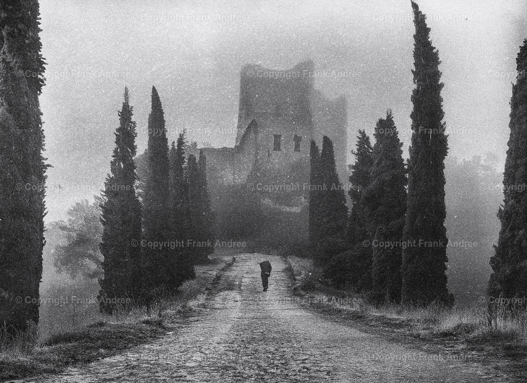 Stille | Ein alter Mann geht allein auf einem Weg mit Zypressen zu einer alten Burgruine. - Realisiert mit Pictrs.com