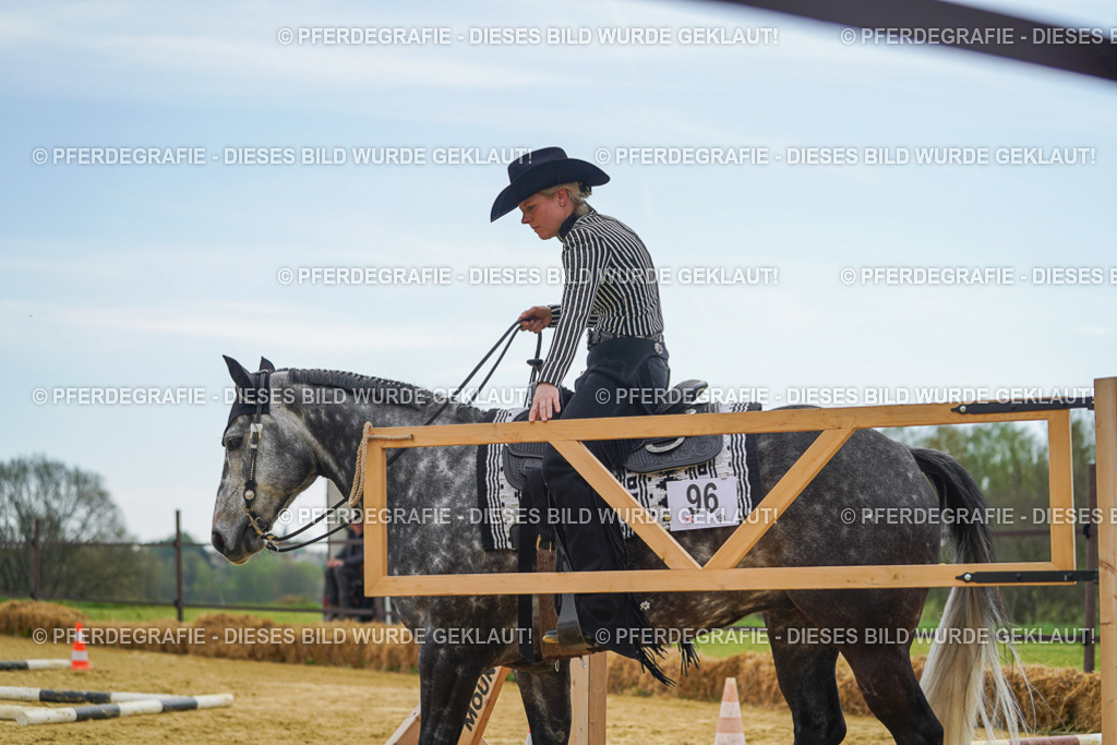 DSC02359 | Pferdegrafie