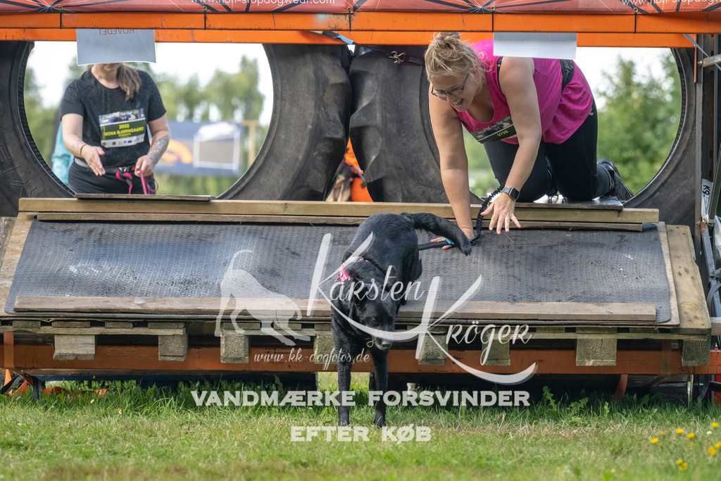 1551_ZZ94606-Bearbeitet | kk-dogfotos