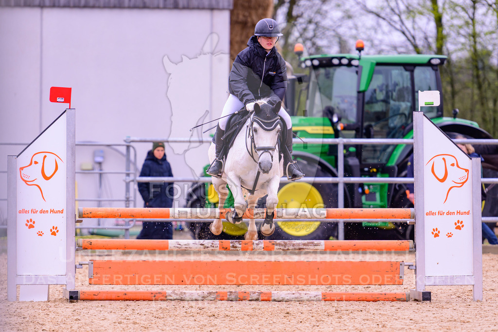 12042026-Mammendorf-Prfg38-0776 | Fokus Hufschlag Fotografie - Realisiert mit Pictrs.com